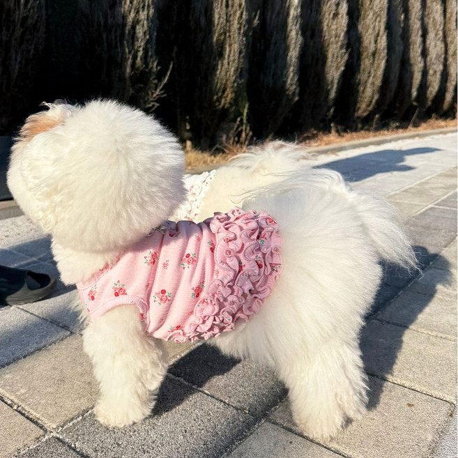 Jubico 狗狗 Rosé 荷葉邊 T恤, 1個, 粉紅色