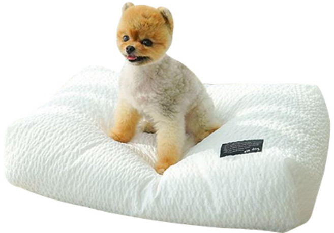 엘르독 바람이 방석 스퀘어형 커버교체형 강아지 여름 쿠션, 화이트, 1개