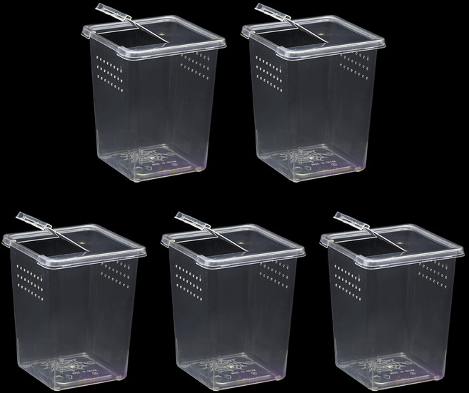 레몽크리프 파충류 세로형 미니 케이지 사육장 적재함 9 x 9 x 11cm, 투명, 5개