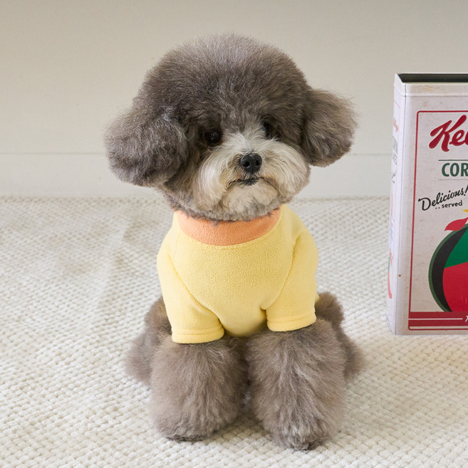 BENNYS 狗狗Miss Chip短版T恤, 黃色, 1個