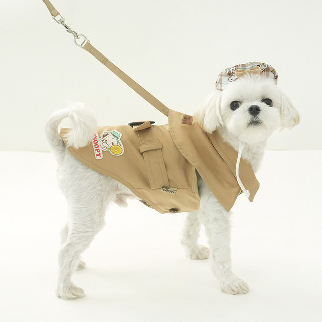 피너츠 강아지 패리스독 빈티지 트렌치코트 + 모자 세트, 베이지, 1세트