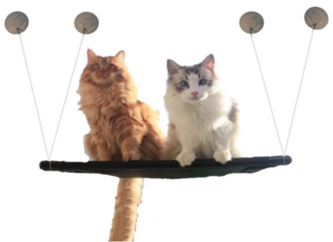 차즈마켓 고양이 창문 해먹, 검정, 1개