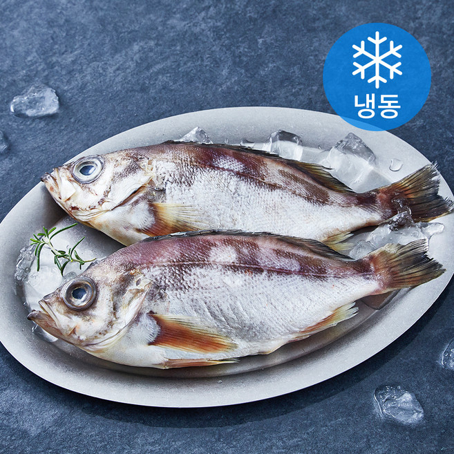 아라보감 국내산 반건조 손질 열기 (냉동), 320g 내외, 1개