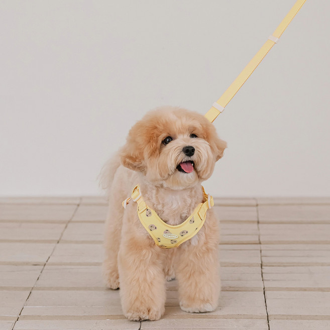 리카리카 반려동물 곰돌이 베베 핸즈프리 리드줄, 레몬, 1개