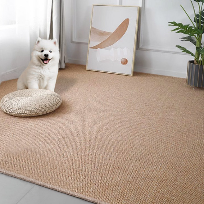 딩동펫 반려동물 사계절 먼지없는 물세탁 미끄럼방지 카페트, 브라운, 1개