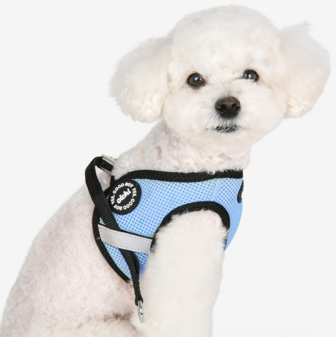 올치 반려동물 야간 빛 반사 콤비 하네스 Q, 스카이블루, 1개