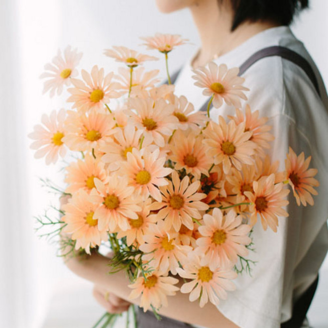 Minsung Company 人造雛菊 10入, 香檳色