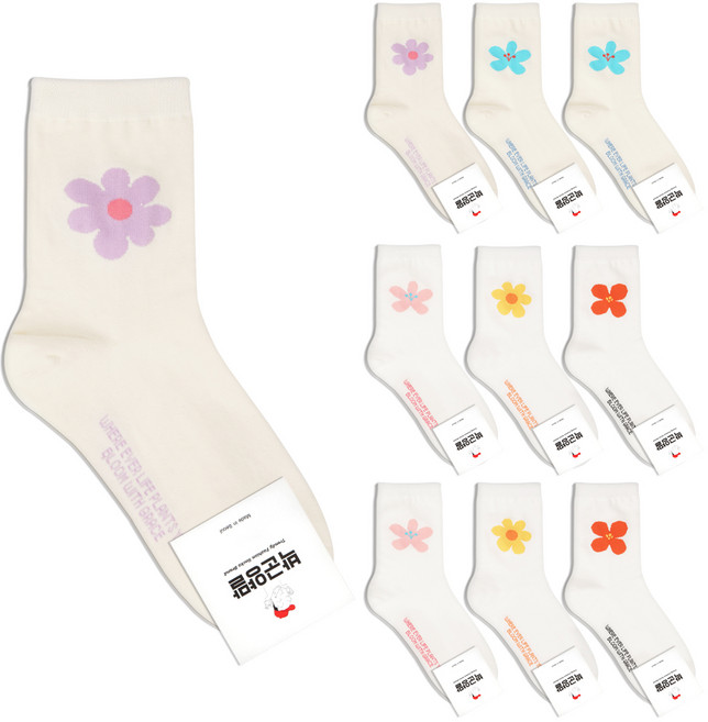 박군 여성용 빅플라워 10족 양말