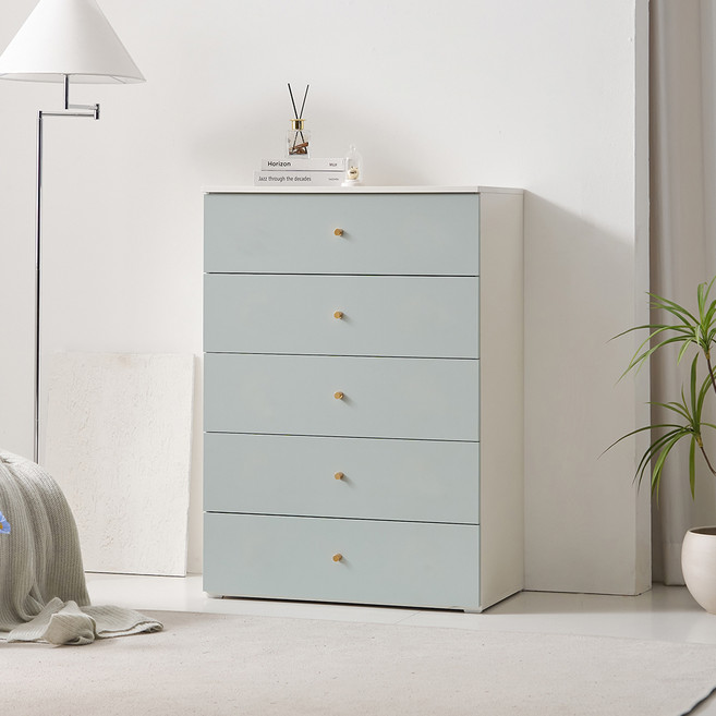 코넬 폭넓은 서랍장 방문설치, 터쿼이즈, 5단