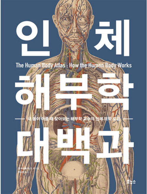 Bonuseu 人體解剖學大百科, 肯恩·艾希威