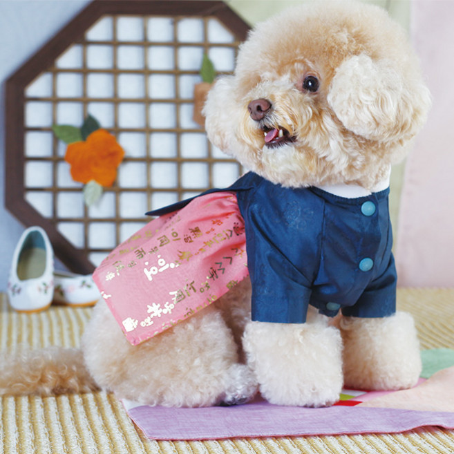 에이미러브즈펫 강아지 청담한복 여아, 청블루, 1개