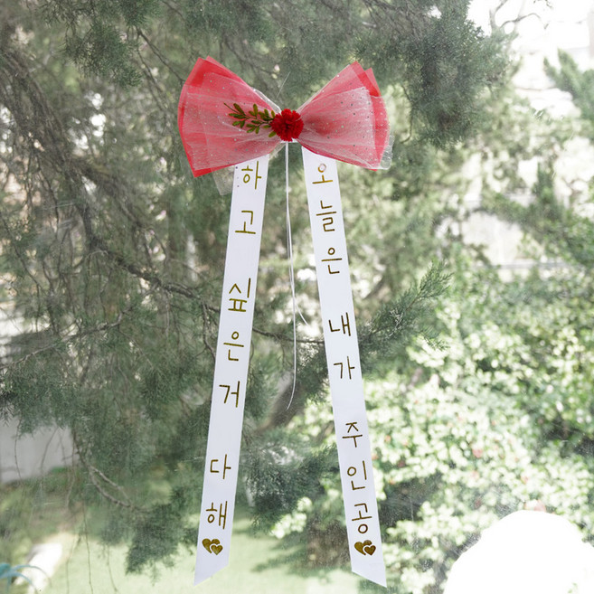아스파시아 트윙클 리본 카네이션 인간화환 오늘은 내가 주인공 대, 레드, 1개