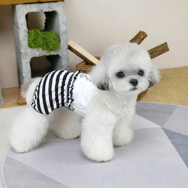 파스텔펫 반려동물 리본 퍼피 올인원, 블랙, 1개