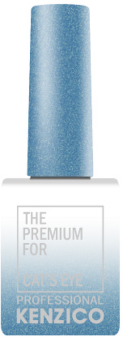 켄지코 캣츠아이 젤네일, CE205, 10g, 1개