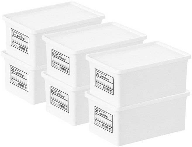 DG컨테이너 소품정리함 낮은형, 6개