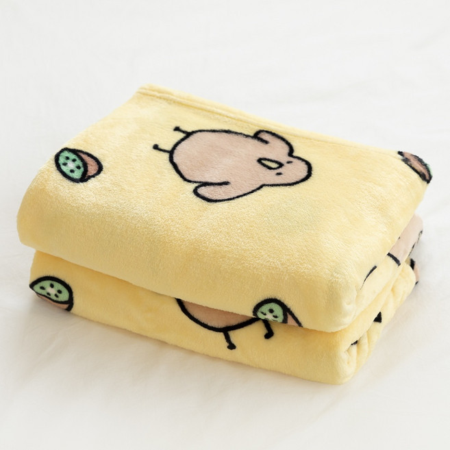 키위새 무릎담요