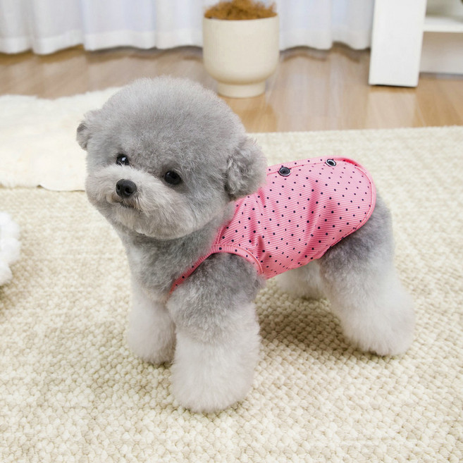 파스텔펫 반려동물 컬러 미니도트 조끼, 핑크, 1개