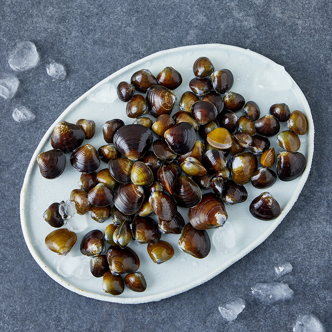 재첩 (냉장), 1개, 600g