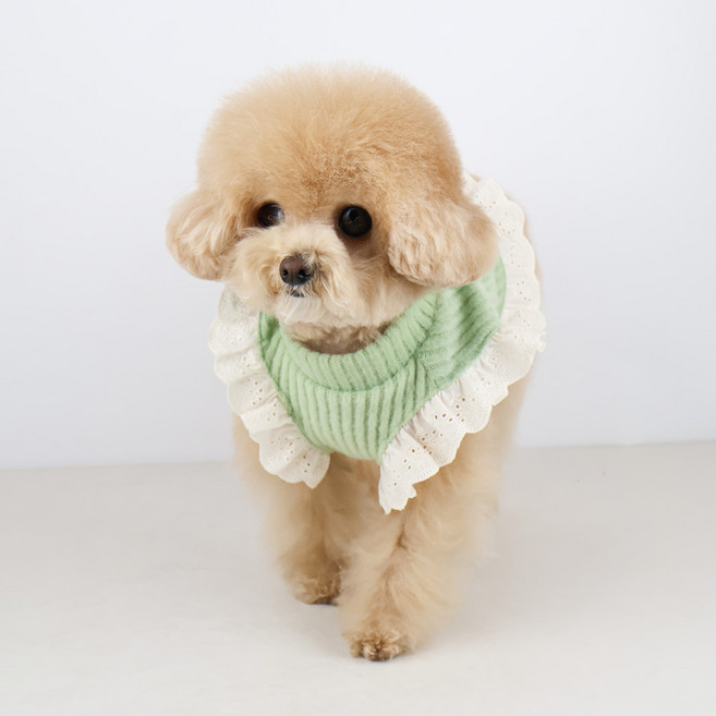 그루밍독 강아지 밀크티 프릴 니트 조끼, 말차 Green, 1개