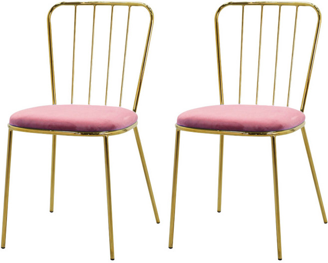 지엠퍼니처 라인 골드벨벳 인테리어 의자 2p, 핑크, 2개