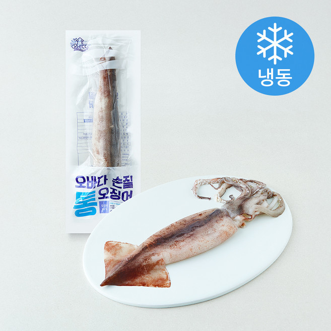 오바다 국내산 손질 통오징어 (냉동), 1개, 260g