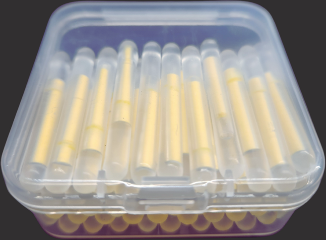 즐낚 대용량 야간케미 50p, 1개