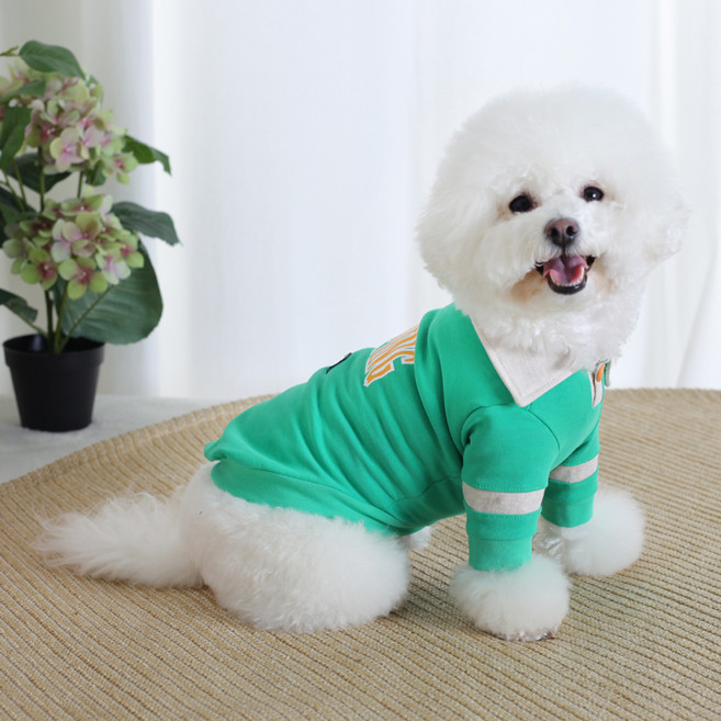 에이미러브즈펫 강아지 CC 캠핑 카라 티셔츠, 그린, 1개