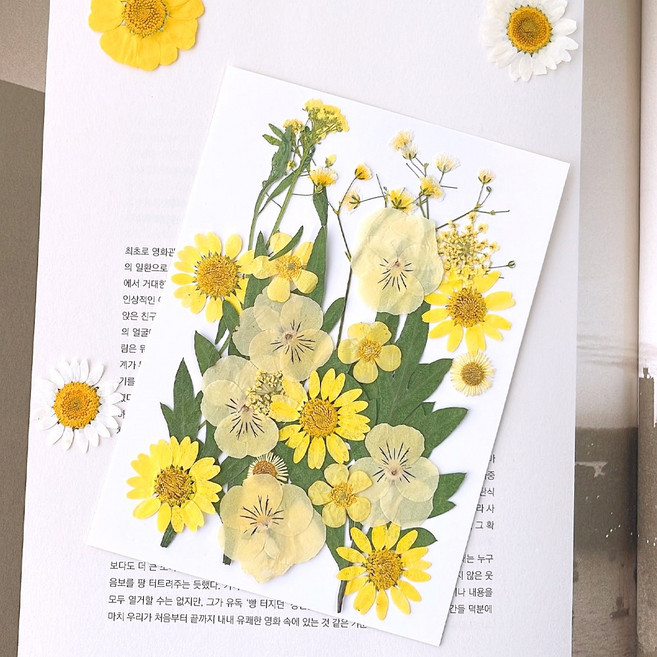 러블리팜 드라이플라워 압화꽃 28피스 DIY 세트, 1세트, 스프링 옐로우