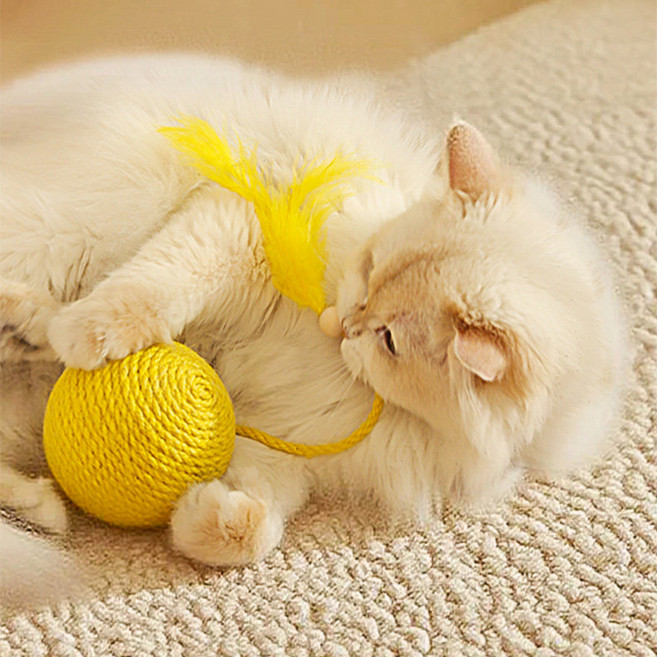 파스텔펫 고양이 깃털 로프볼 장난감 FREE, 옐로우, 1개