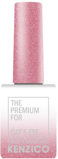 켄지코 캣츠아이 젤네일, CE203, 10g, 1개