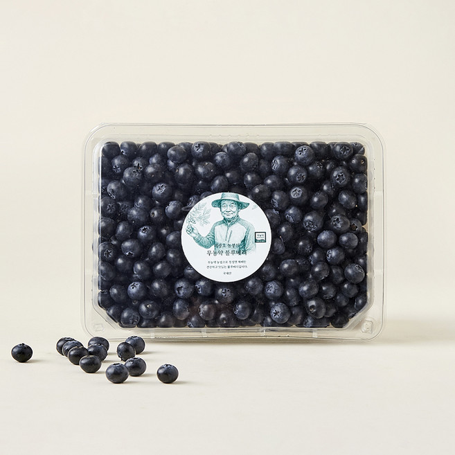이광호 농부의 무농약 블루베리 대과, 500g, 1개
