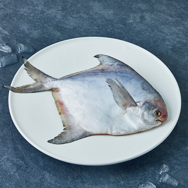 목포수협 병어 (냉장), 1개, 250g(대)