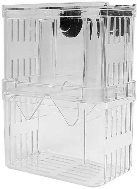 아쿠아테라 난태생 열대어 2단 부화 치어격리통 CH-BS, 1개