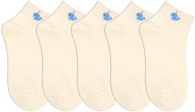 박군 여성용 미니고래 단목 양말 5켤레 세트