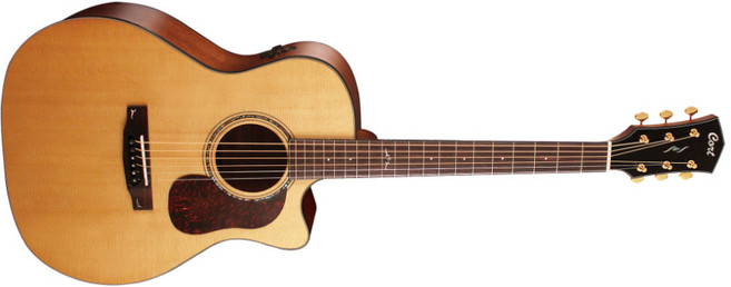 콜트 어쿠스틱 기타 세트, Gold-A6K, NaturalGlossy, 1세트