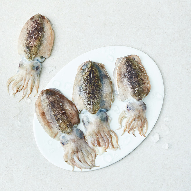 산지직송 일품 국산 갑오징어 (냉장), 1개, 1kg