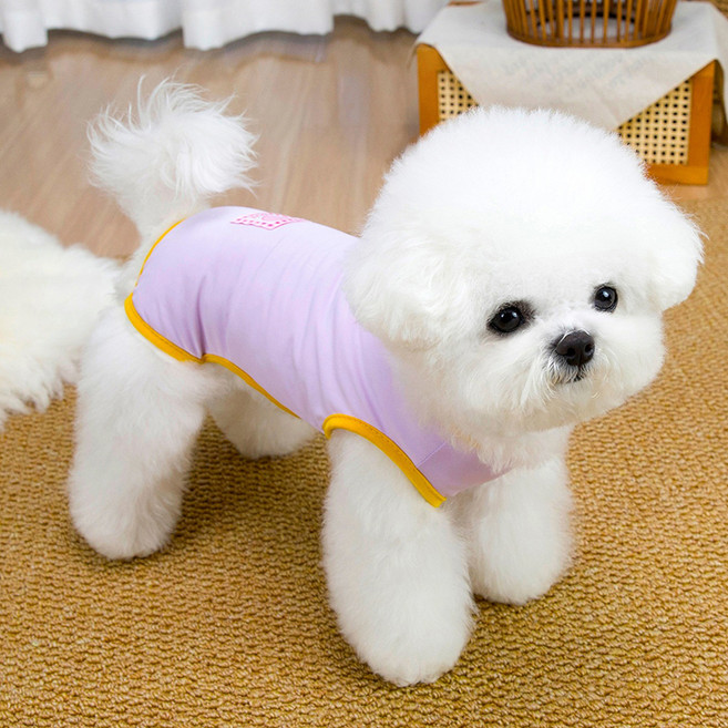 파스텔펫 반려동물 러브 라인 올인원, 퍼플, 1개