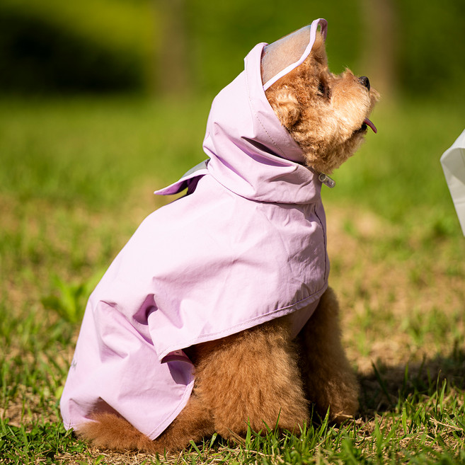 펫트리움 강아지 일체형 판초 레인코트, 퍼플, 1개