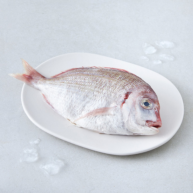 김씨밥 손질된 생물 참돔 (냉장), 1개, 300g