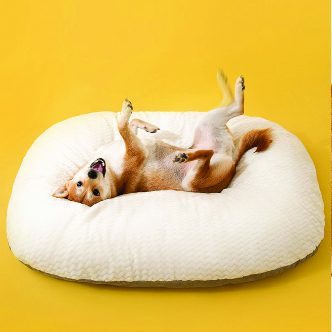 인뮤즈 강아지 몽글몽글 구름 방석, 혼합색상, 1개