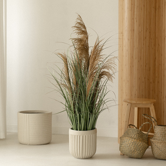 플라우스302 조화 팜파스 갈대 나무 110cm, 혼합색상, 1개