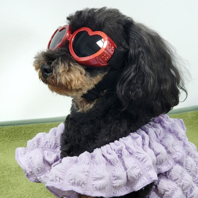 펫카 MAAH 반려동물 자외선 UV차단 하트 고글 선글라스, 레드, 1개