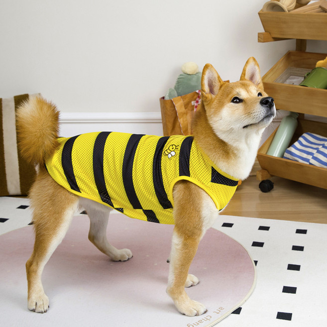 파스텔펫 강아지 중대형견 꿀벌 메쉬 티셔츠, 옐로우, 1개