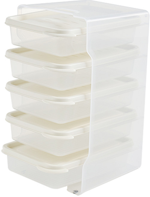 이지앤프리 이지킵 냉장고 정리 선반트레이 1호 + 정리용기 1L 5p 아이보리, 1개, 1세트