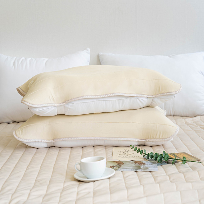 아토앤알로 3초쿨 모달 냉감 메쉬 베개덮개 2p