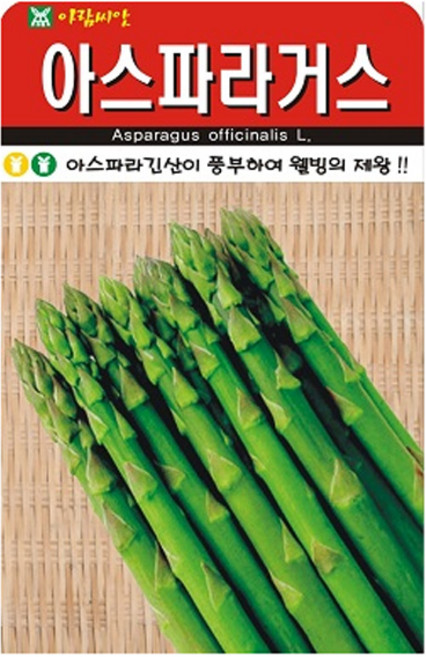 아람종묘 아스파라거스 씨앗 50립, 1개
