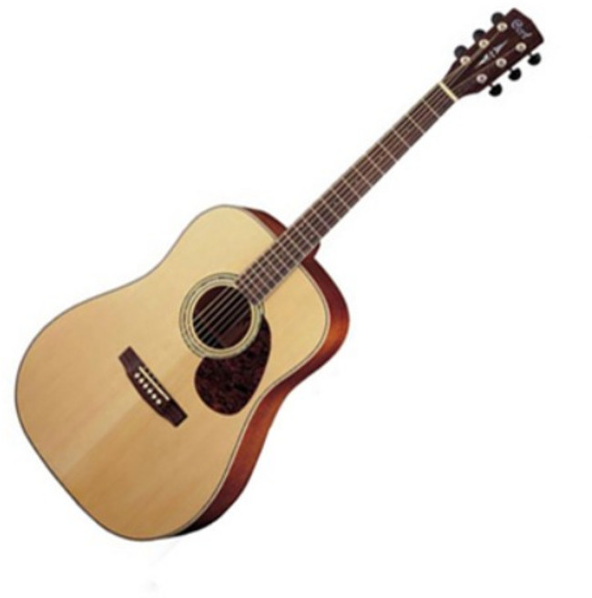 콜트 탑솔리드 어쿠스틱 기타, EARTH100, NS, 1개