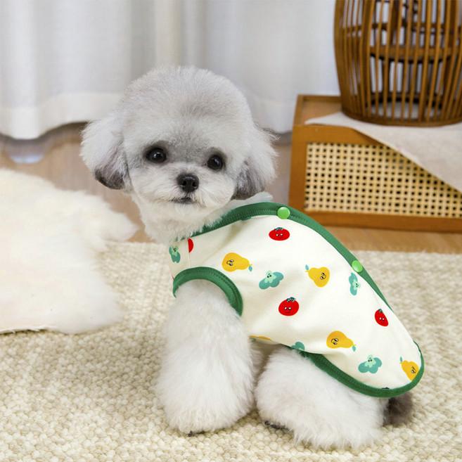 칠시 강아지 과일 패턴 쿨링 조끼, 그린, 1개
