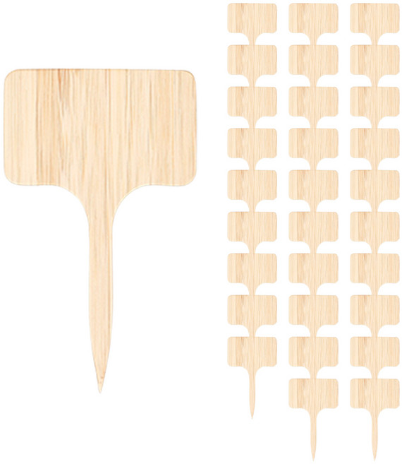 소프트홀릭 내추럴 화분 식물 이름표 네임택 네모 30p