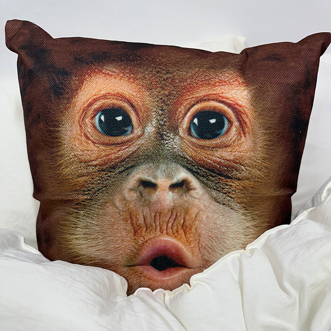 원숭이 오랑우탄 얼굴 쿠션, 브라운